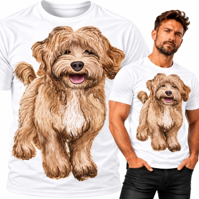 KOSZULKA CAVAPOO